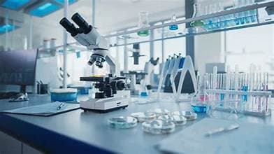 Labs